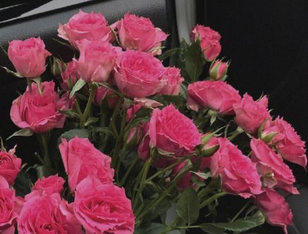 身后空无一人只能靠自己-如云资源网